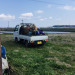 IMG_2060.jpeg