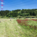 IMG_2230.jpeg