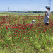IMG_2283.jpeg
