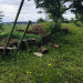 IMG_2451.jpeg