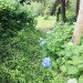 IMG_2455.jpeg