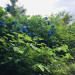 IMG_2470.jpeg