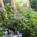 IMG_2604.jpeg
