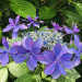 IMG_2605.jpeg