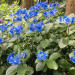 IMG_2606.jpeg