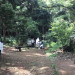 IMG_2608.jpeg