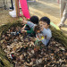 IMG_3097.jpeg