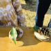 IMG_3118.jpeg