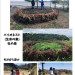IMG_3043.jpeg