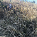 IMG_3403.jpeg