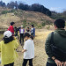 IMG_3774.jpeg
