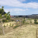 IMG_3784.jpeg