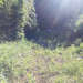 IMG_4306.jpeg