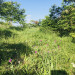IMG_4317.jpeg