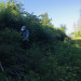 IMG_4319.jpeg
