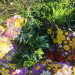 IMG_4330.jpeg