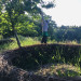 IMG_4337.jpeg