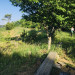 IMG_4338.jpeg