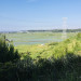 IMG_4339.jpeg