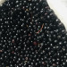 IMG_4359.jpeg