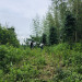 IMG_4484.jpeg