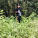 IMG_4497.jpeg