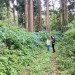 IMG_4506.jpeg