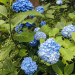 IMG_4507.jpeg