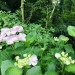 IMG_4508.jpeg