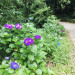 IMG_4509.jpeg