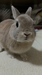 IMG_4051.jpeg