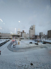 IMG_6884.jpeg