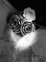 IMG_7380.jpeg