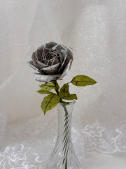 IMG_7382.jpeg