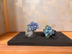 IMG_7640.jpeg