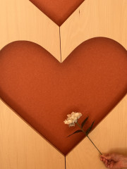 IMG_7730.jpeg