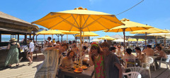 IMG_7997.jpeg