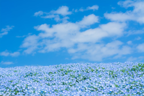 4月・5月の休診日のご案内
