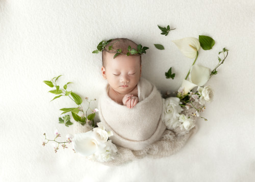 1Z8A6782-Edit-1.jpg