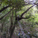 PXL_20210924_071834698.jpg