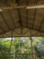 PXL_20251006_002738850.MPスズメバチ.jpg