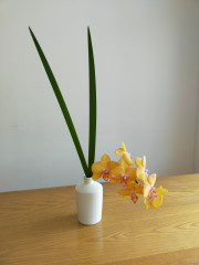 IMG20250318095156.jpg