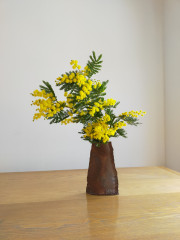 IMG20250318104537.jpg