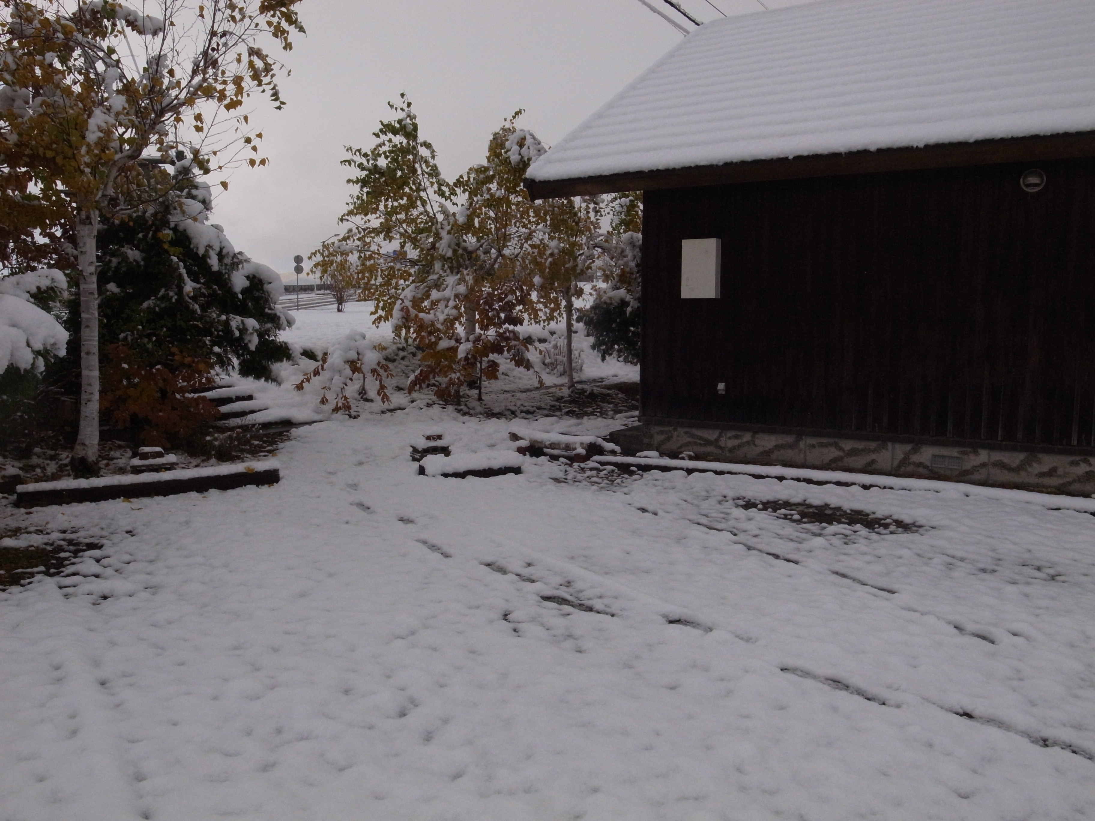 来ました・・・