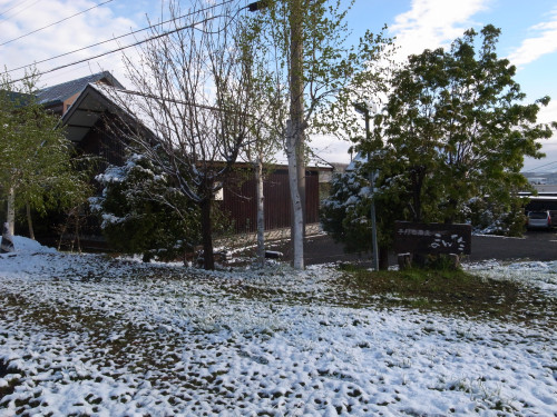 雪の朝