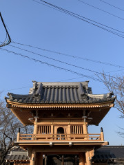 IMG_6297.jpeg