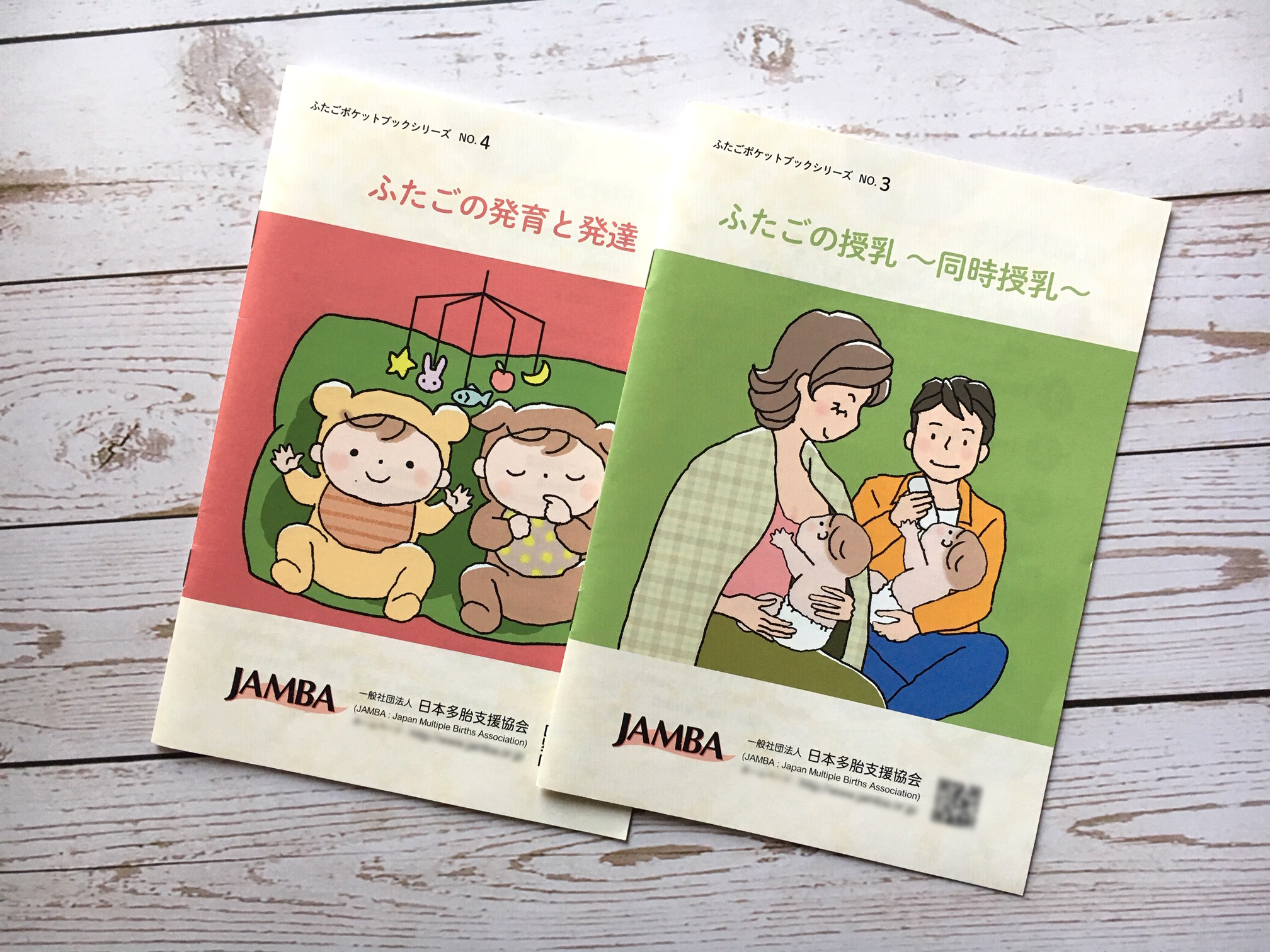 Works Illust イラストレーター 竹本ユウコ