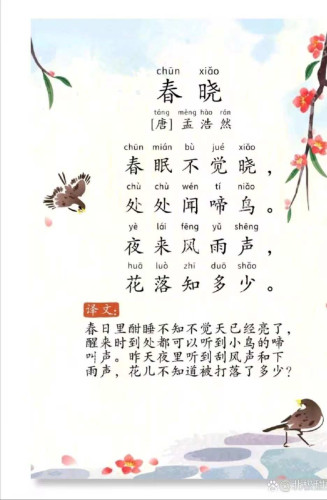 春晓.jpg