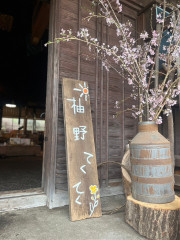 24FE3AEA-86A4-4F16-8D81-7870A268BD1E.jpeg