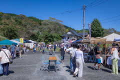IMG_0685.jpeg